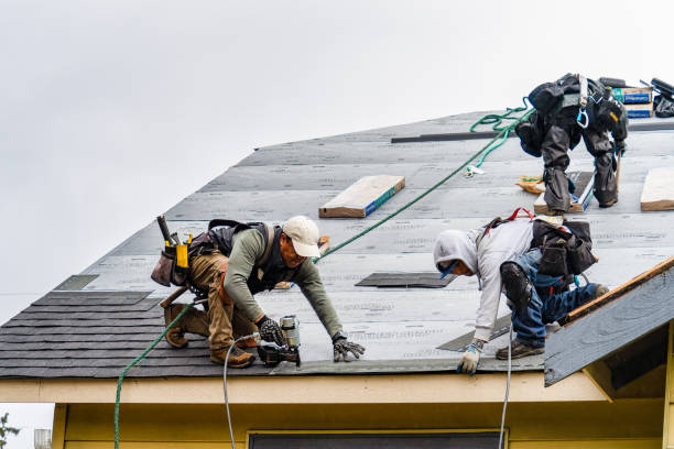 Professional Roofing technician working in Mecca, IN